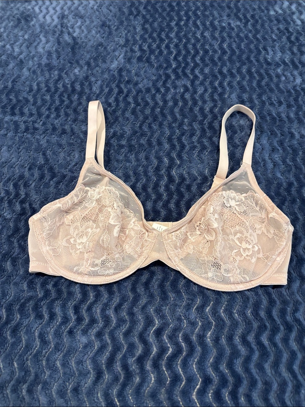 Sheer Floral Lace Underwire Bra in Light Blush. 34D